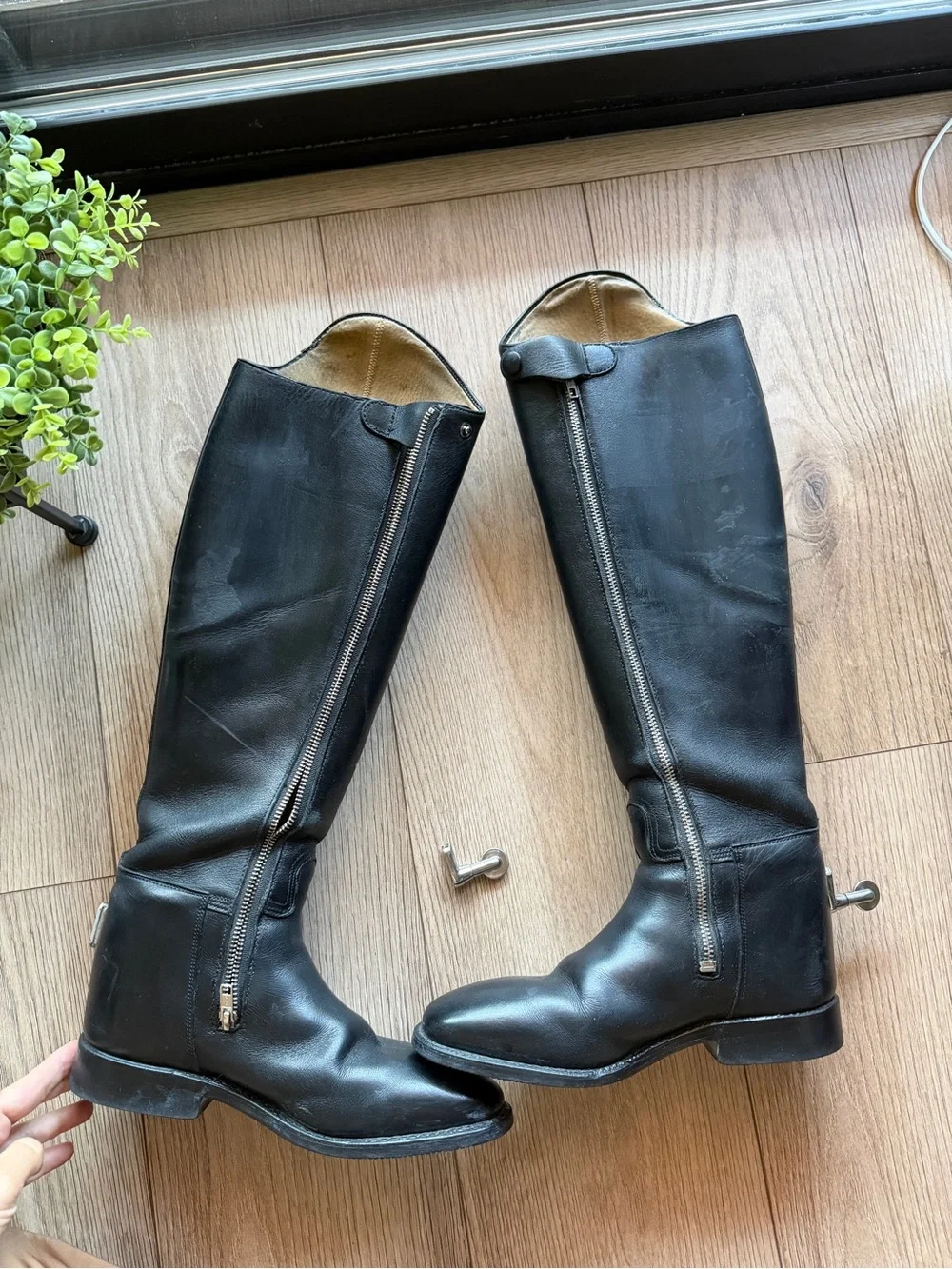 Cavallo sprenger smartclix
